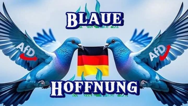Eine private AfD Seite !